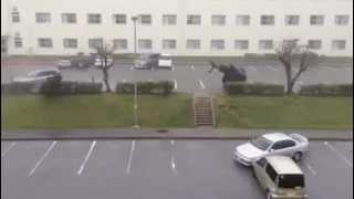 Typhoon Flips a Car [upl. by Weinstock]