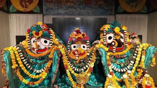 ⭕❗⭕Jagannath status video 🙏🙏 🚩Jagannath short video 🚩jay Jagannath jagannath video manasgaan [upl. by Avra]