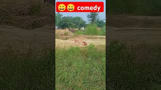 comedy funny cgcomedy cid fun youtube durgalal rajbhar [upl. by Teagan895]