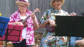 Happy Together  Bendigo Ukulele Group [upl. by Hanid]