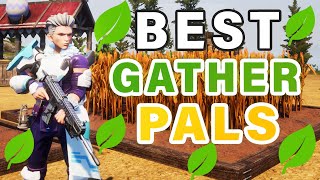 Best GATHERING Work Pals to Use in your base ► Palworld [upl. by Yenroc732]