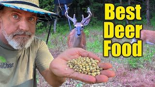 1 Deer Food  Planting Food Plots  Creating Deer Haven [upl. by Norven]