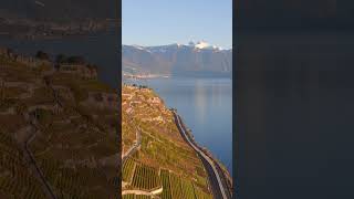 Breathtaking Drone Views of Lavaux Vineyards by Lake Geneva in Switzerland aerial dji drone [upl. by Honan]