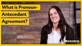 What is PronounAntecedent Agreement [upl. by Dyrrej]