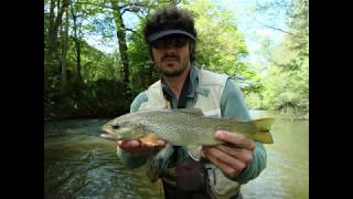 quotLozère Fishing Tourquot  jour 2  Lot aval [upl. by Annaya]