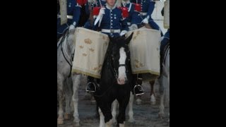 Ystad International Military Tattoo 2005 Livgardets Dragontrumpetarkår HD [upl. by Benzel]