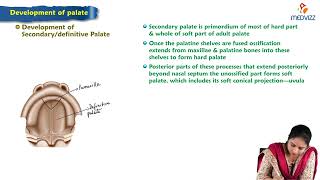 Development of palate  MBBS Lecture [upl. by Naivat586]