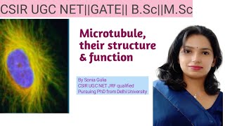 Microtubule their structure and function [upl. by Becca326]