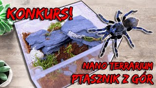 Pterinopelma sazimai  nano terrarium  KONKURS na 500 subskrypcji 🎁 [upl. by Curzon]