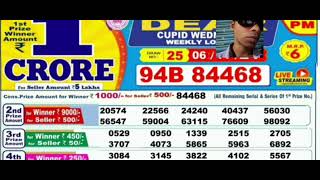 Nagaland lottery result today 6pm 06112024  morning Nagaland State Lottery Result [upl. by Hebel]