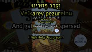 Simchas Torah 4 of 10 Vekarev וְקָרֵב Israel Learn Hebrew Bible and Timeless Jewish Prayers [upl. by Aliled]