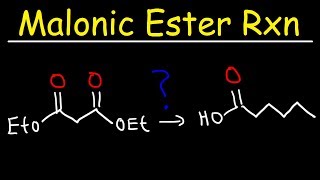 Malonic Ester Synthesis Reaction Mechanism [upl. by Alios681]