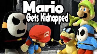 RareMarioBros Mario Gets Kidnapped [upl. by Delahk94]