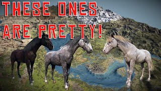 WHERE TO FIND ANDALUSIAN HORSE COATS  RED DEAD REDEMPTION 2 [upl. by Noswal343]