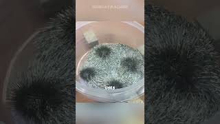 How Magnetic Polishing Works  Cool Tool [upl. by Annaiv]