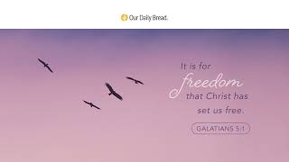 Live in Freedom  Audio Reading  Our Daily Bread Devotional  June 19 2023 [upl. by Cain]