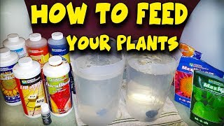 How To Feed Your Plants  Water Nutrients amp PH [upl. by Dianna]