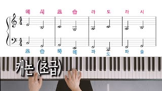 캐논 변주곡 초급  조지 윈스턴 Canon Piano Cover  George Winston 노래방 자막으로 피아노 배우기 피아노 악보 [upl. by Neenahs]