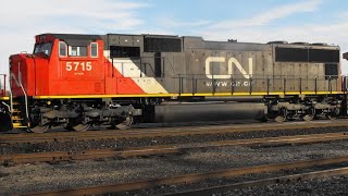 Battle Creek to Chicago on CN Railway [upl. by Humberto]