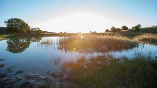 Philmont Timelapse 2017 [upl. by Ely65]