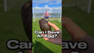 What should the Kilted Keeper save next 🧤🥚 football goalie goalkeepertraining goalkeeper [upl. by Arad710]