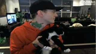 deadmau5  Meowingtons Gets Down [upl. by Eicart]