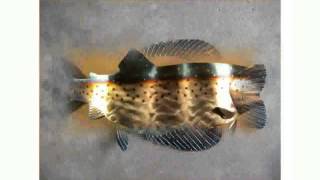 Metal Wall Decor Fish [upl. by Hayyikaz231]