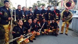 Dorados de la Banda de Watsonville Cal [upl. by Gnouh]