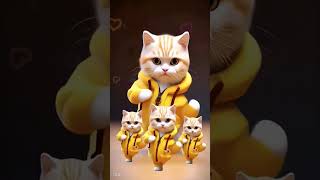 Cat eanceaicat catvideos aicat [upl. by Arron860]