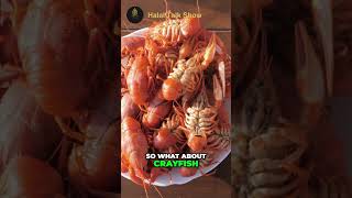 Is Crayfish Halal crayfish halal food facts [upl. by Renrut]