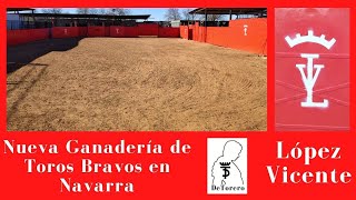 Nueva Ganadería de TOROS BRAVOS en Navarra ✅✅ LÓPEZ VICENTE🥇🥇 [upl. by Weikert]