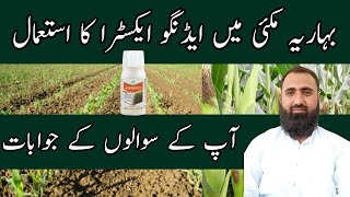 How to use Adengo Xtra herbicide  Post Emergence Weed Control  Bilal Kanju Official [upl. by Irby993]