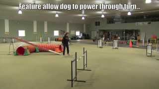 Tight Turns in Dog AgilityVideo One [upl. by Fiorenza]