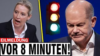 LIVE Alice Weidel besiegt Olaf Scholz🚨Afd ist bereit nachdem die Ampel ausgeht [upl. by Anawak]