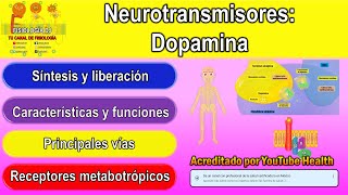 Neurotransmisores  Sistema nervioso central  Dopamina  Dopamina neurotransmisor [upl. by Aymik]