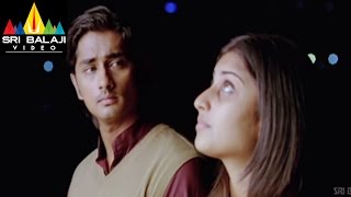 Oye Movie Shamili Celebrating Siddharth Birthday Scene  Siddharth Shamili  Sri Balaji Video [upl. by Hannahc367]