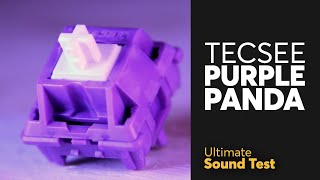 The Ultimate TECSEE PURPLE PANDA Sound Test  Cheap tactile switch [upl. by Ender]