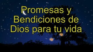 PROMESAS DE DIOS PARA TU VIDA Versículos favoritos Reina Valera Armando Gamez [upl. by Bell]