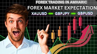 MARKET BREAKDOWN IN AMHARIC  OCT 13 2024 ethiopia trading forextradinginethiopia ebs forex [upl. by Rolando470]