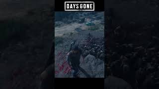 How to defeat the PATJENS LAKE HORDE in Days Gone [upl. by Annaul]