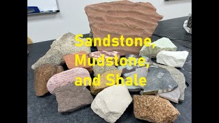 Rock Identification with Willsey Sandstone Mudstone and Shale [upl. by Abihsat]