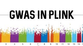 GWAS in Plink [upl. by Airotel]