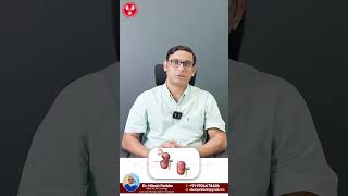 Understanding Nephrectomy Types Radical nephrectomy  Dr Nitesh Patidar Urologist [upl. by Aseeram]