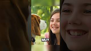 También quiero tener perros lindos shorts viralvideo [upl. by Hadria332]