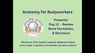 Day 12 of Online Anatomy for Bodyworkers Review Bone amp Structure [upl. by Reamonn765]