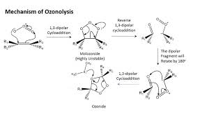 Ozonolysis  An overview in less than 7 minutes [upl. by Ahoufe]