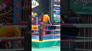 Orangutan Boxing Training in Thailand Please Read Description [upl. by Sordnaxela]