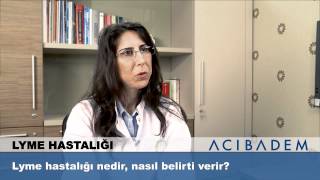 Lyme hastalığı nedir nasıl belirti verir [upl. by Enytnoel]