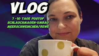 Vlog810 Tage postop Schlauchmagen UmbauMeerschweinchen und ReweLieferservice [upl. by Anitnatsnok130]