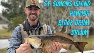 St Simons Island Redfish  Black Drum and Bream from the deck of our condo [upl. by Klinger22]